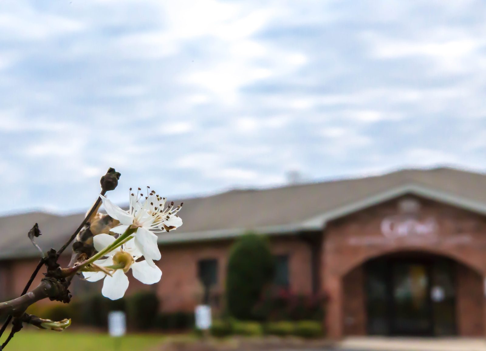 The Grove Personal Care Home photo 2