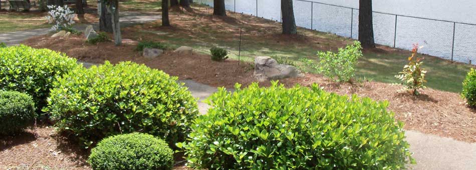 Lakeview Place photo 2