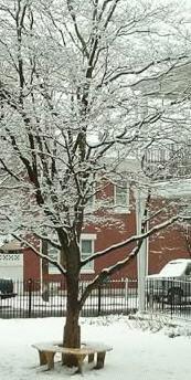 Penn Home