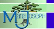 Nazareth Memory Center At Maria Joseph