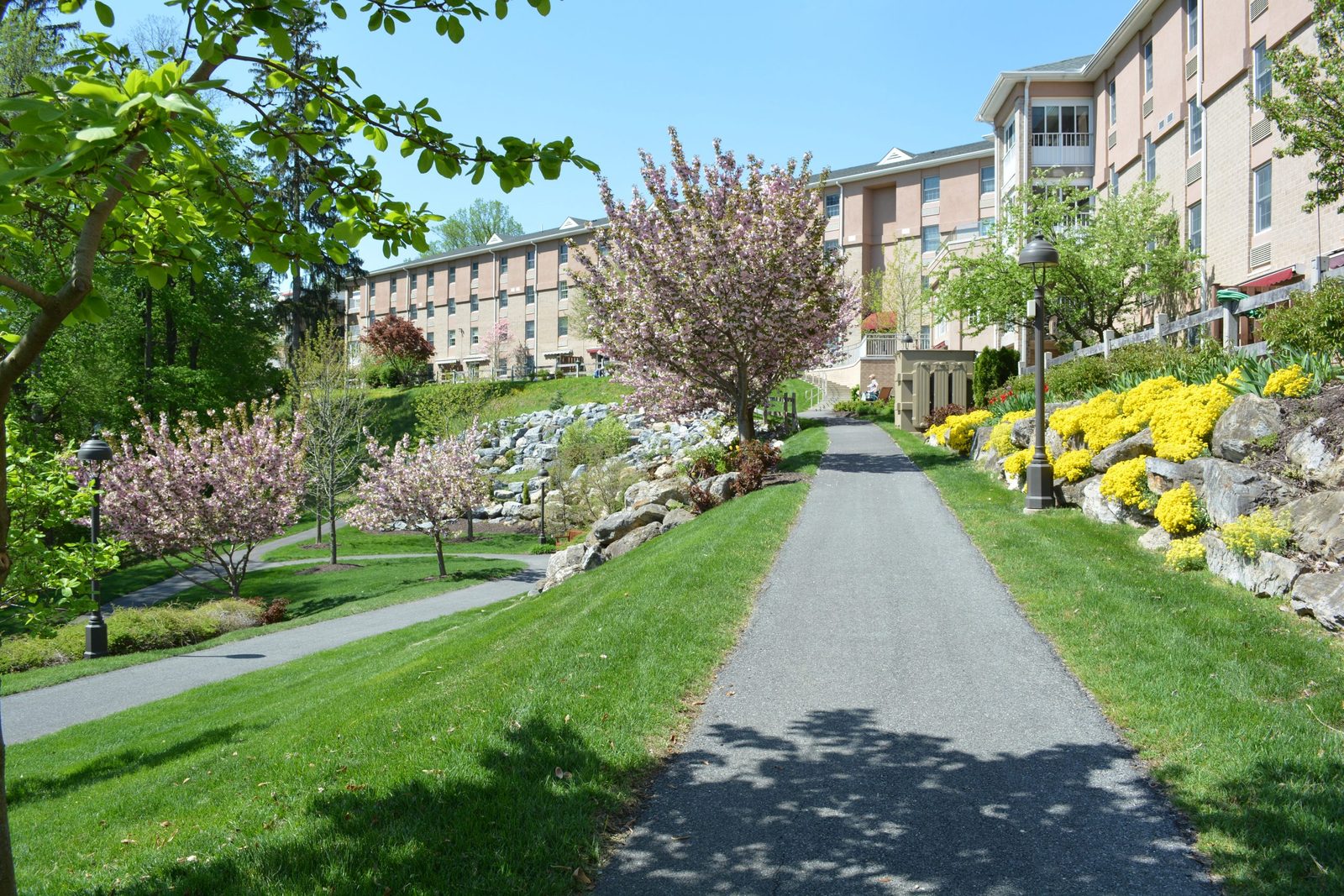 Moravian Hall Square Assisted Living Residences photo 3