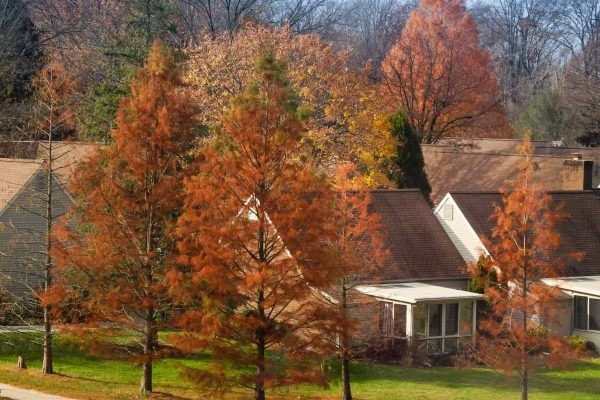 Kendal At Longwood photo 3