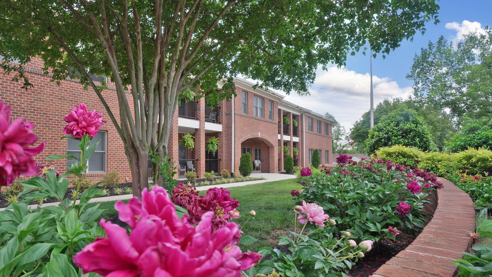 St. Francis Home photo 1