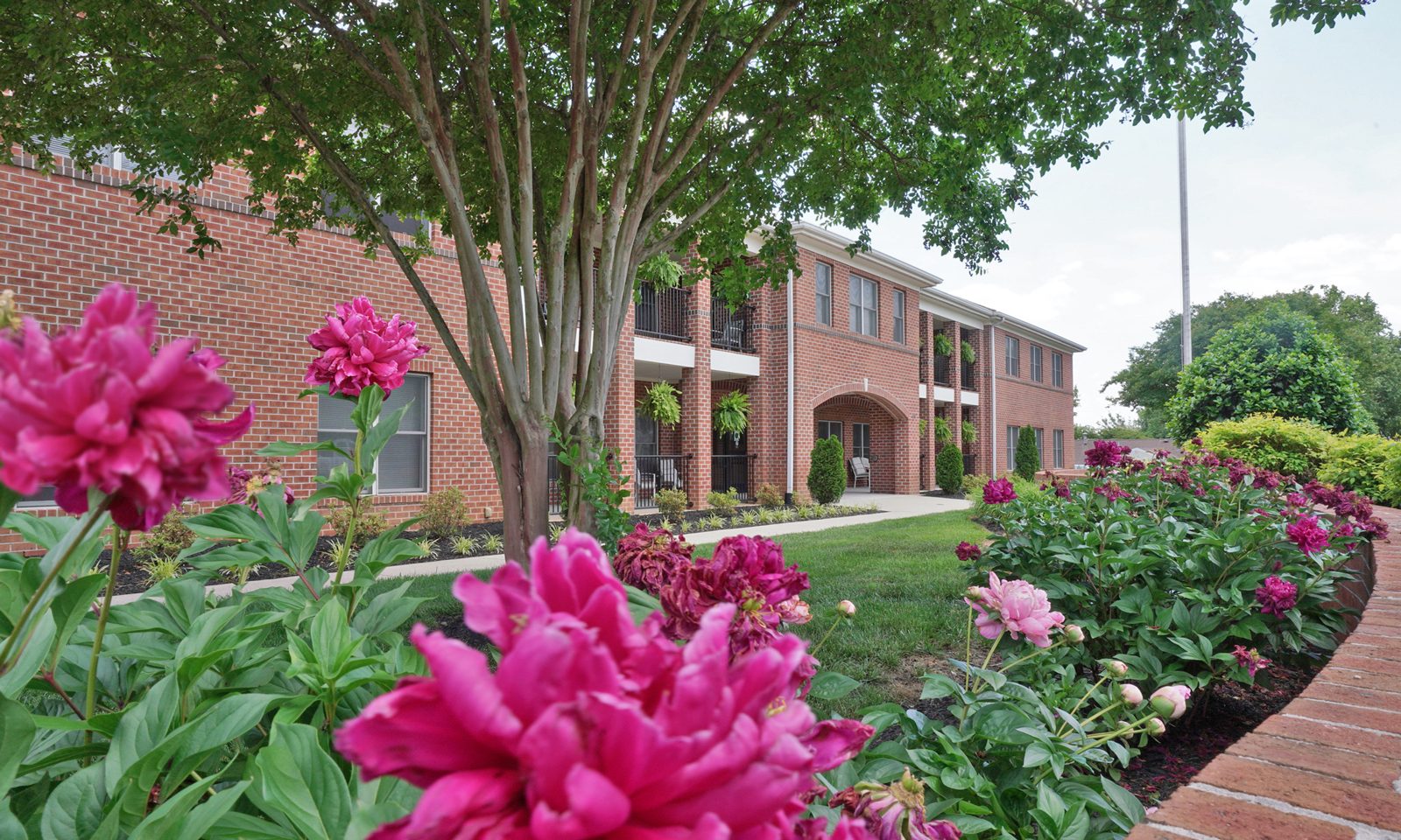 St. Francis Home photo 2