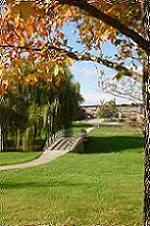 The Oaks at Richfield
