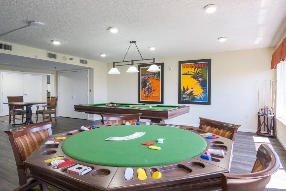 Grand Villa of Sarasota photo 3
