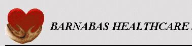 Barnabas Health Care Services, Inc.