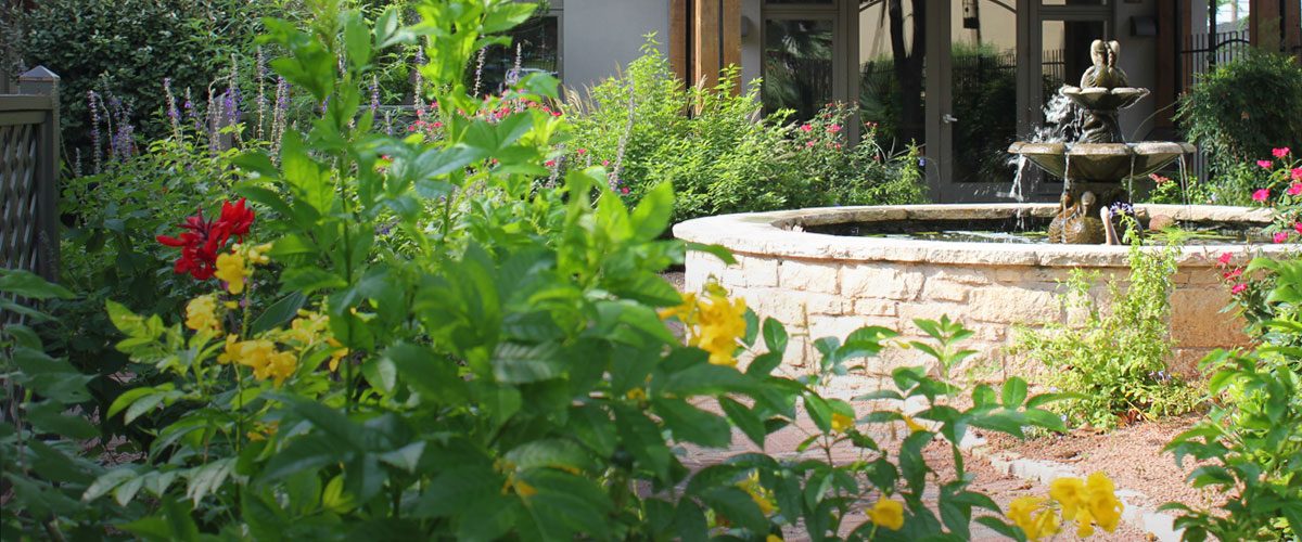 Hospice Austin