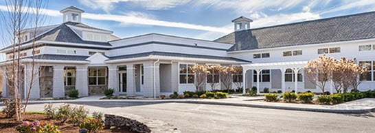 Avita of Newburyport
