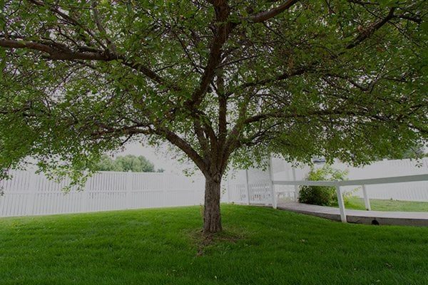 Ashley Manor at Parfet photo 2