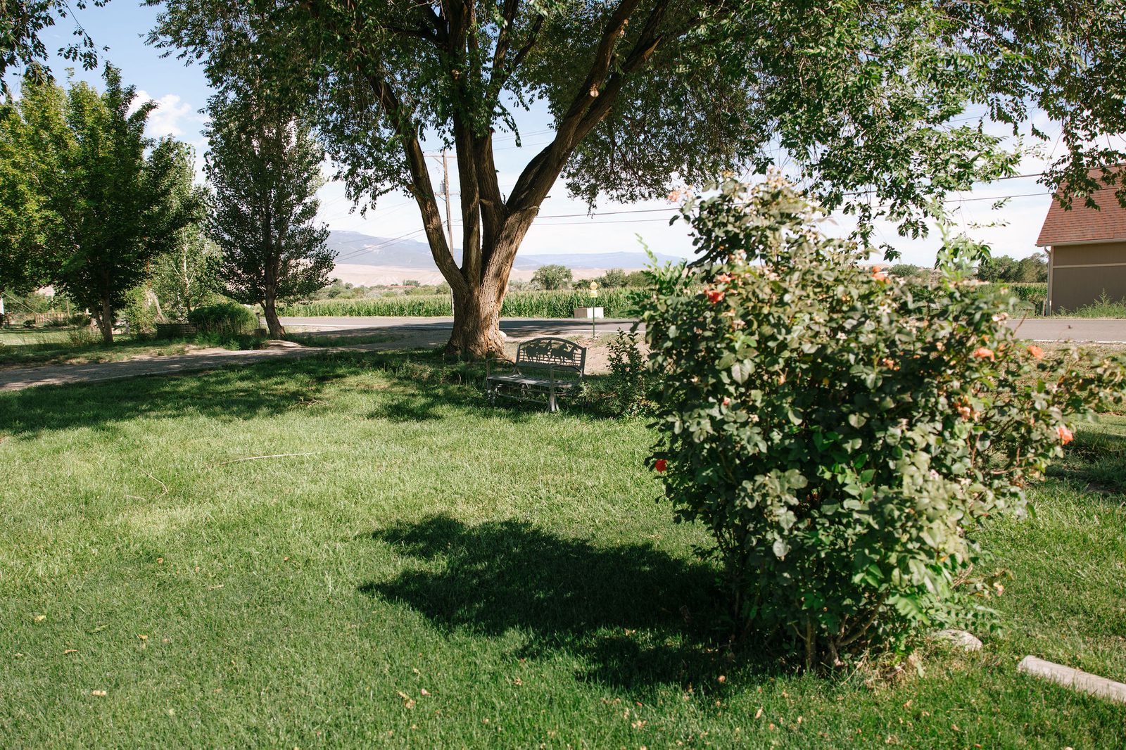 Blossom View Assisted Living photo 5