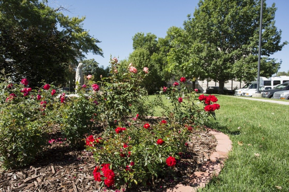 Centura Health- Gardens at St. Elizabeth photo 3