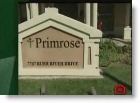 Primerose