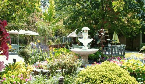 Brookdale Windsor photo 2