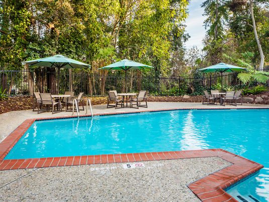 Atria Willow Glen photo 4