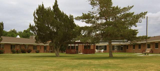 Willow Tree Care Center