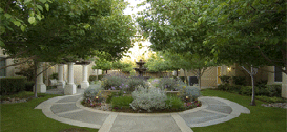 Aegis of Fremont