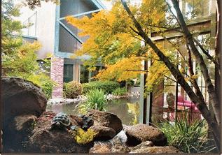 The Atrium of Carmichael
