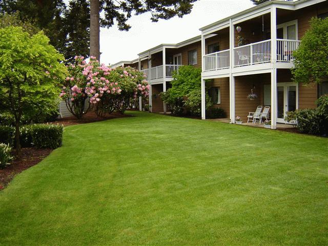Olympics West Retirement Inn photo 7
