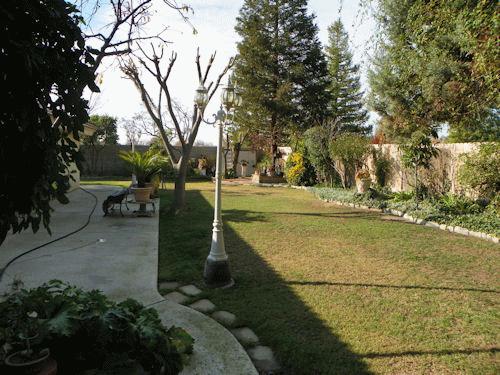 Jasmine Garden Residential Care photo 9