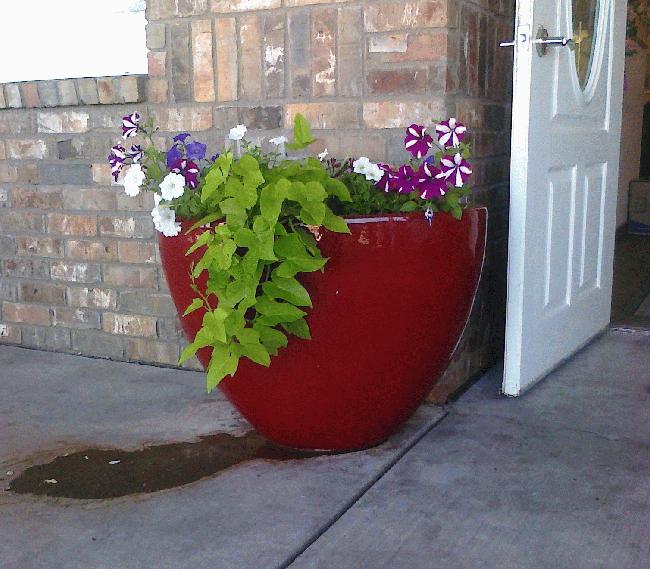 Good Life Assisted Living photo 1