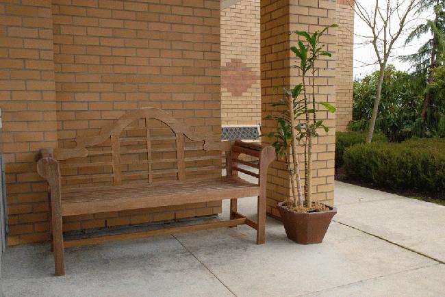 Life Manor Senior Apartments photo 2