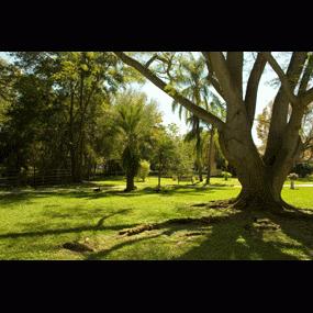 Baytree Lakeside photo 4
