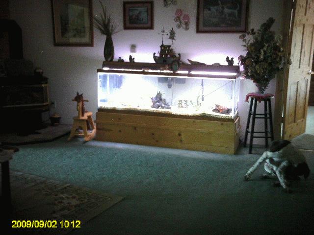 Certified Family Home photo 3