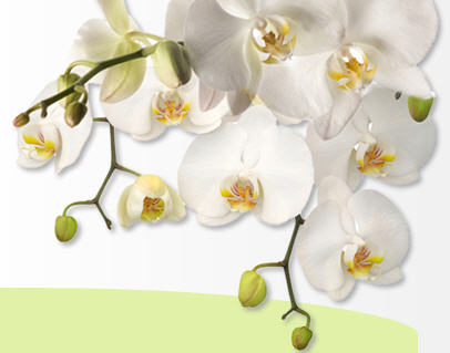 Seasons of Santaquin Assisted Living & Memory Care