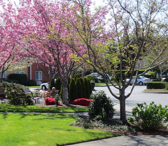 Suncrest Village Retirement Apartments photo 2