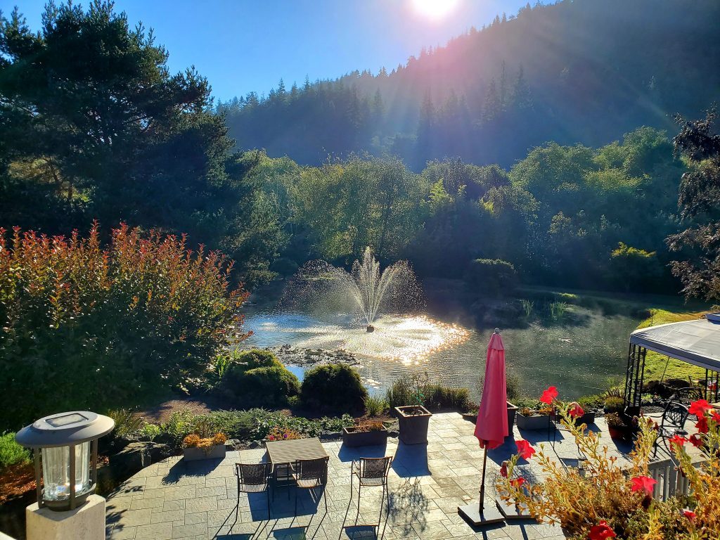 Country Gardens  photo 1