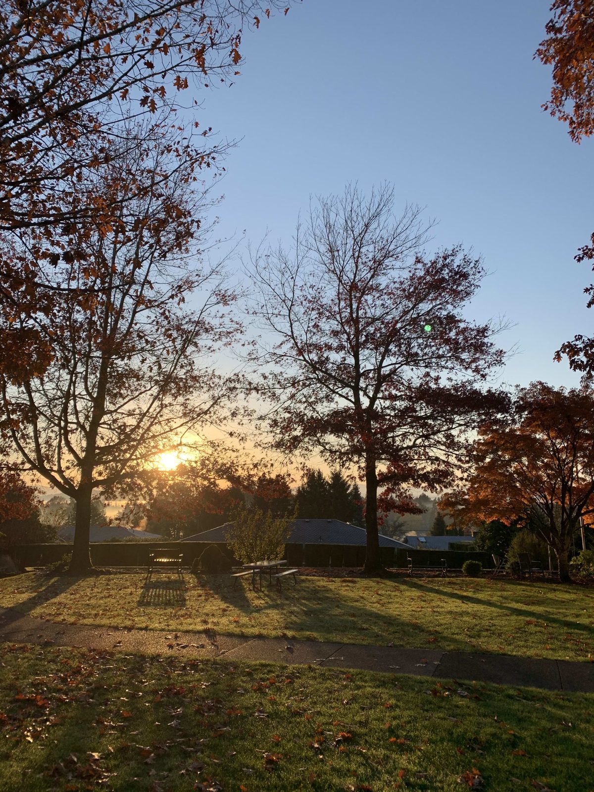 Elite Care - Oatfield Estates - Adams House  photo 2