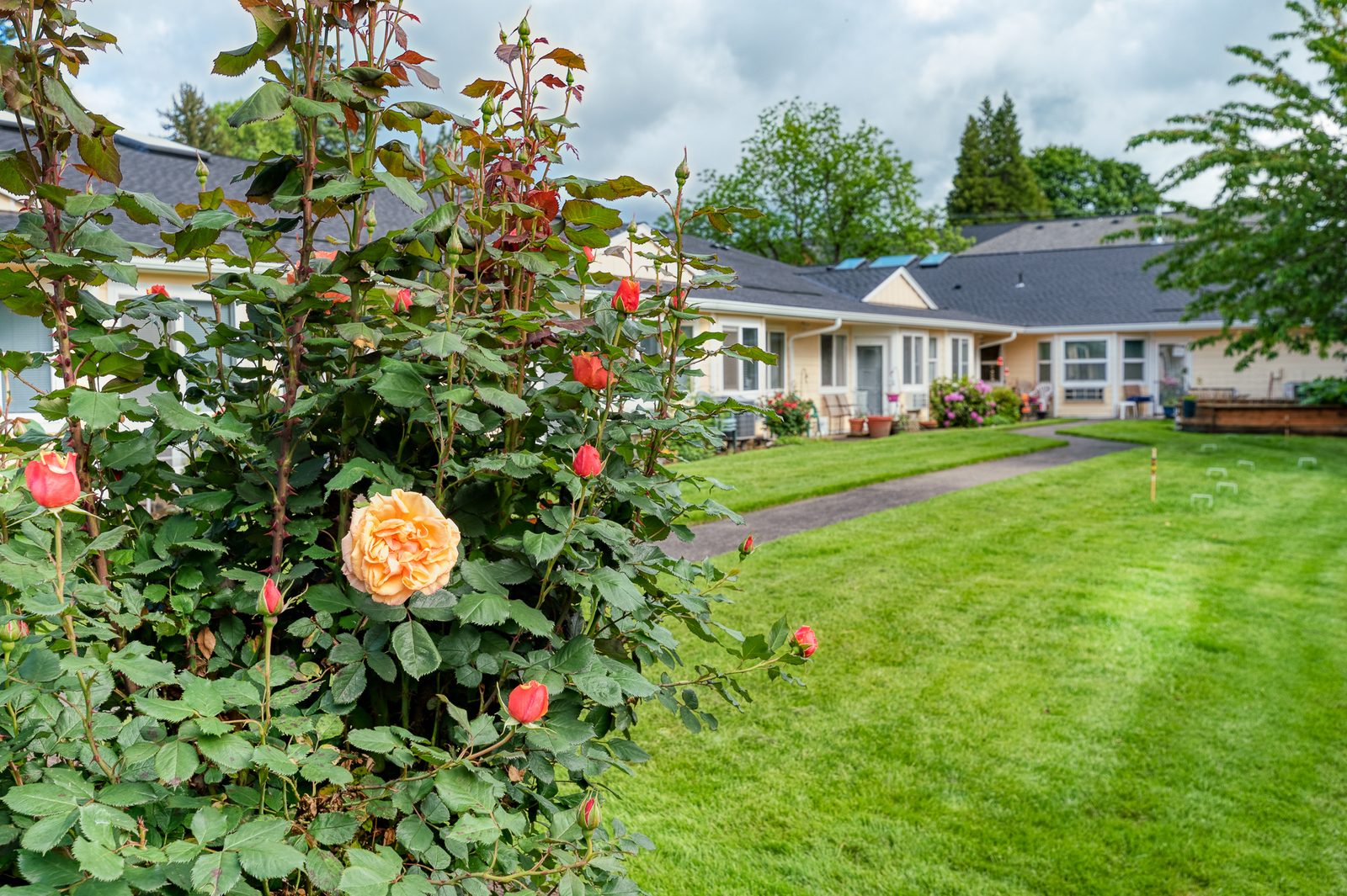 Forest Grove Beehive 