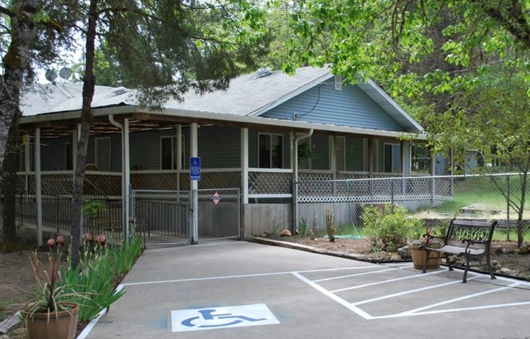 Forest Meadows photo 1