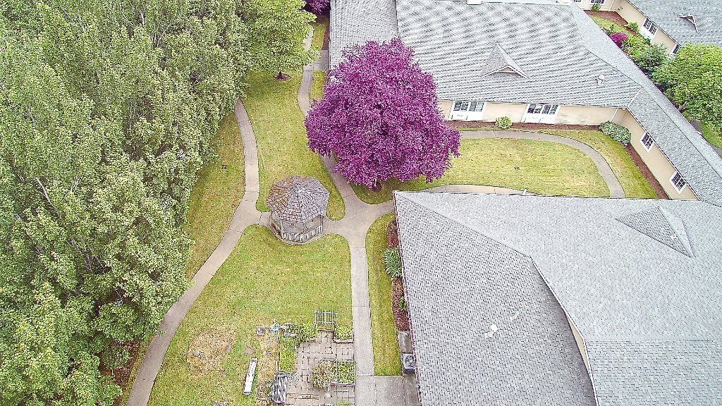 The Cottages Senior Living photo 4