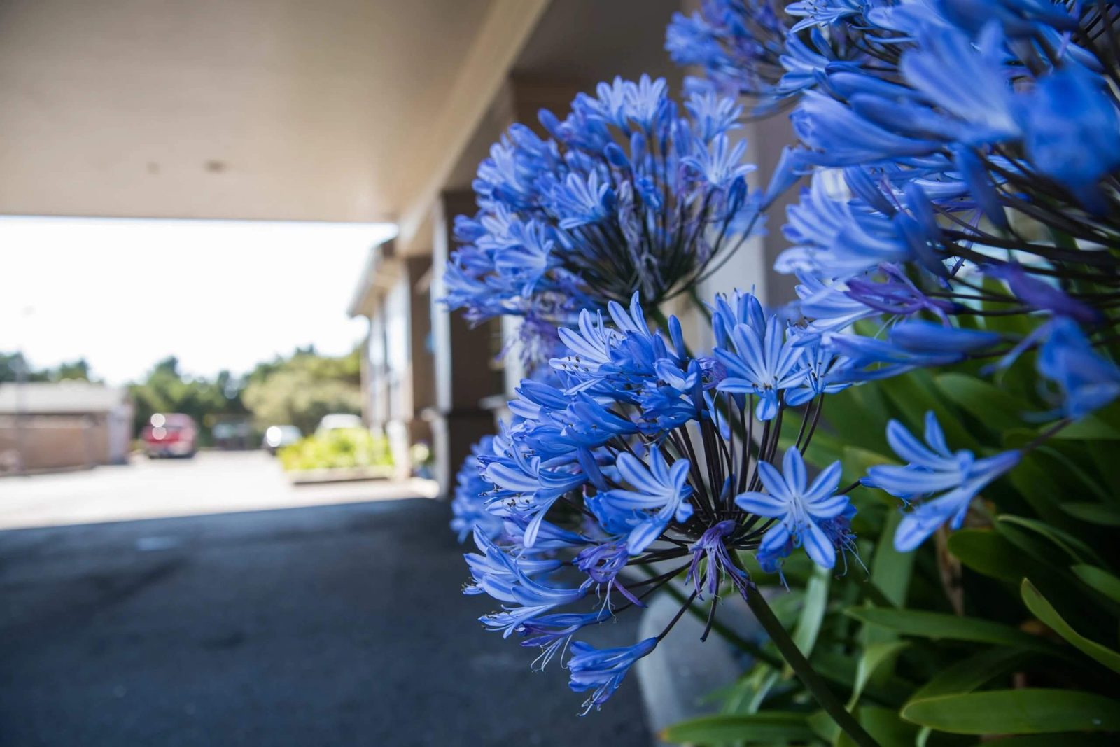 Shore Pines Senior Living