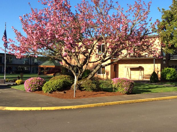 Willamette Lutheran Homes  photo 2