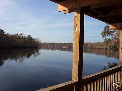Suwannee Bell, Inc. photo 1