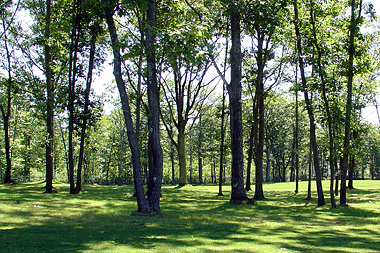 Lake Bluff Retirement Village photo 10