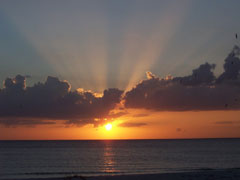 Buttonwood Inlet RV Resort photo 2