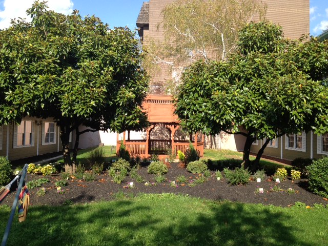 The Gardens Of Lincoln Court photo 2