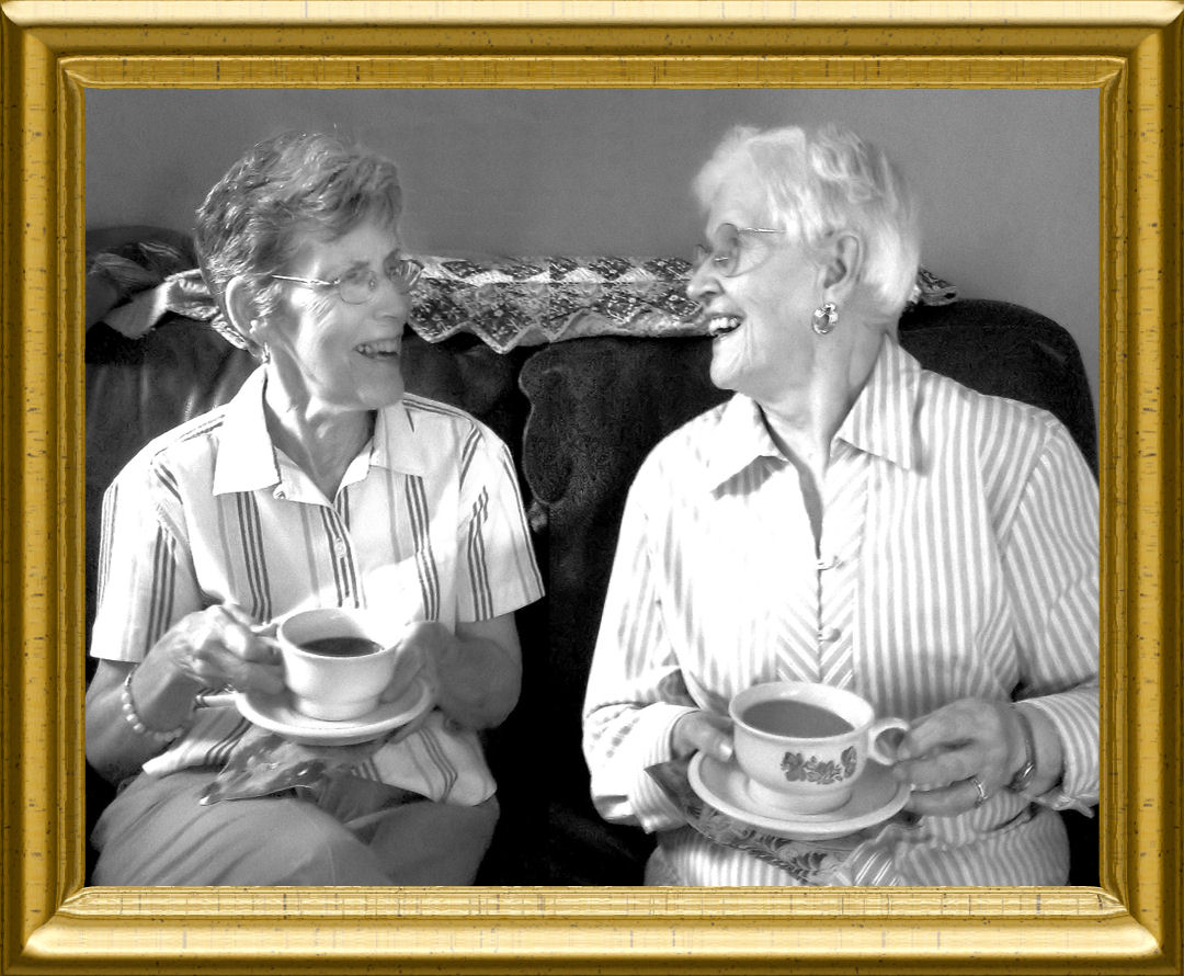 Seniors Helping Seniors photo 2