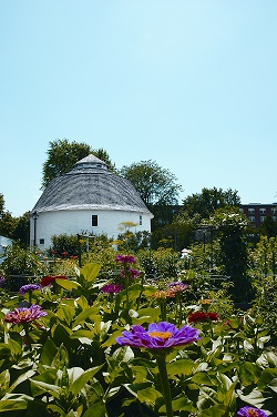 The Moorings of Arlington Heights photo 2
