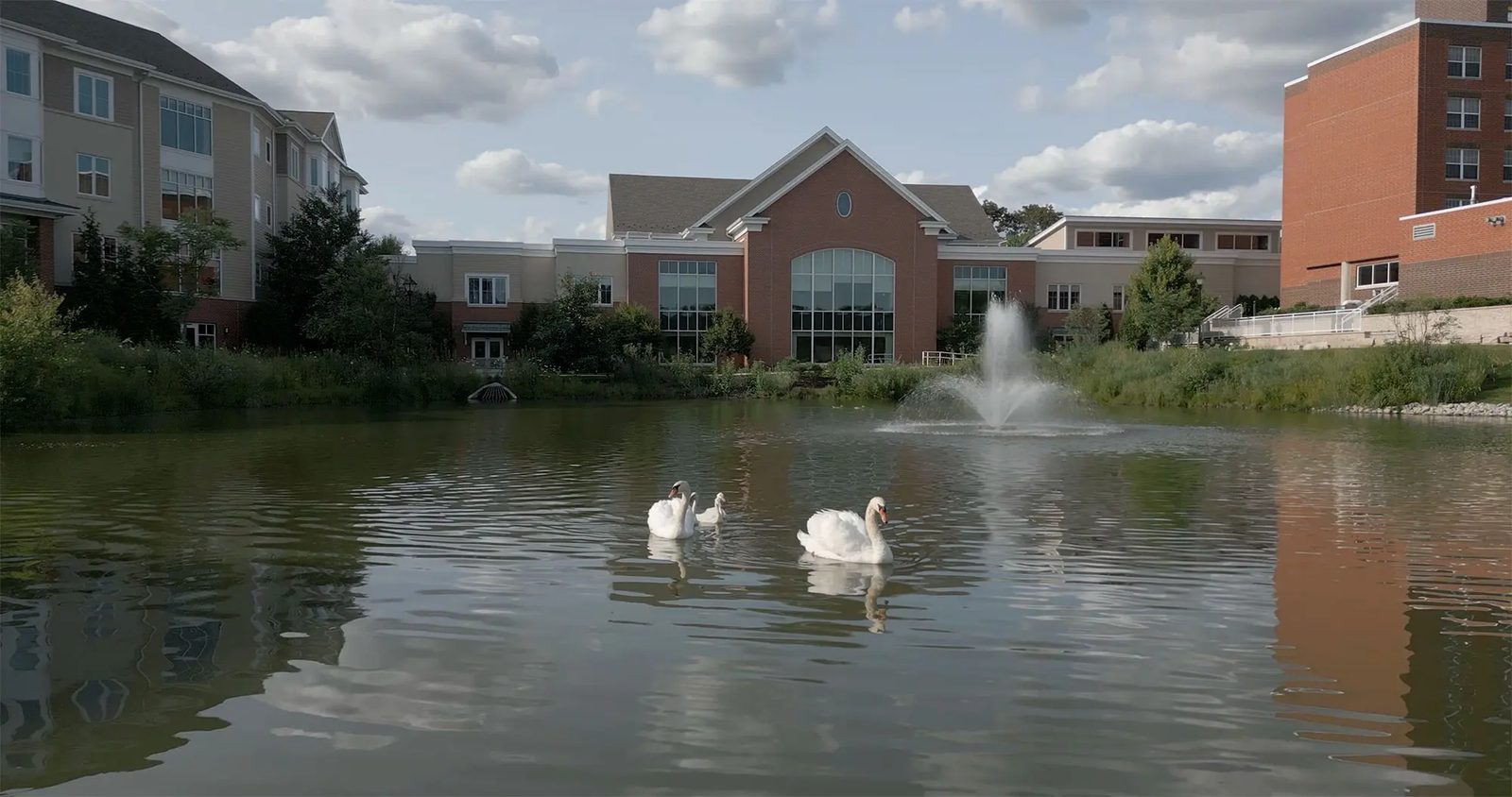 The Moorings of Arlington Heights photo 5