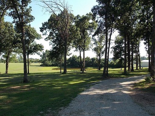 Close to Paradise Assisted Living photo 6