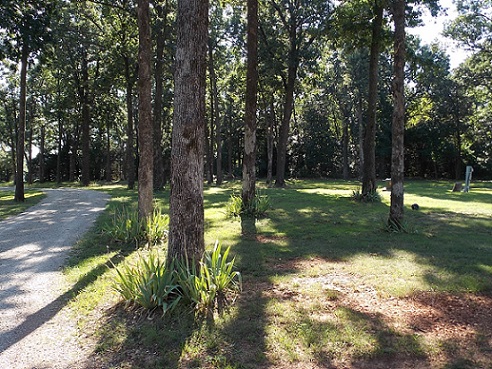 Close to Paradise Assisted Living photo 8