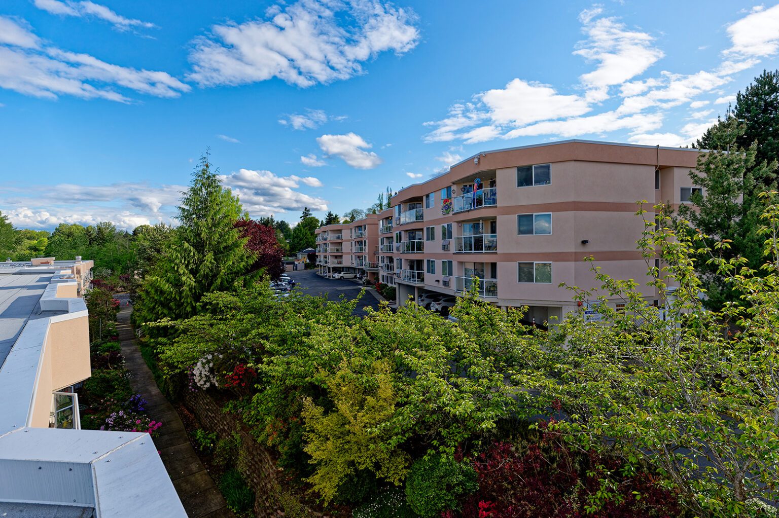 Active Senior Living photo 3