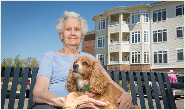 Springdale Independent Living At Lucy Corr Village photo 2