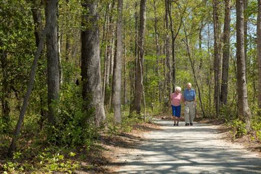 Springdale Independent Living At Lucy Corr Village photo 5