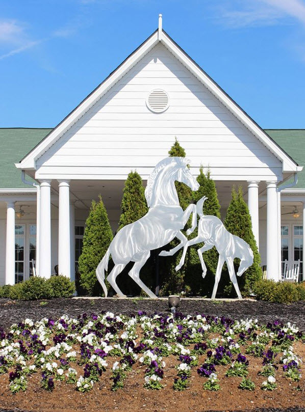Daisy Hill Senior Living photo 3